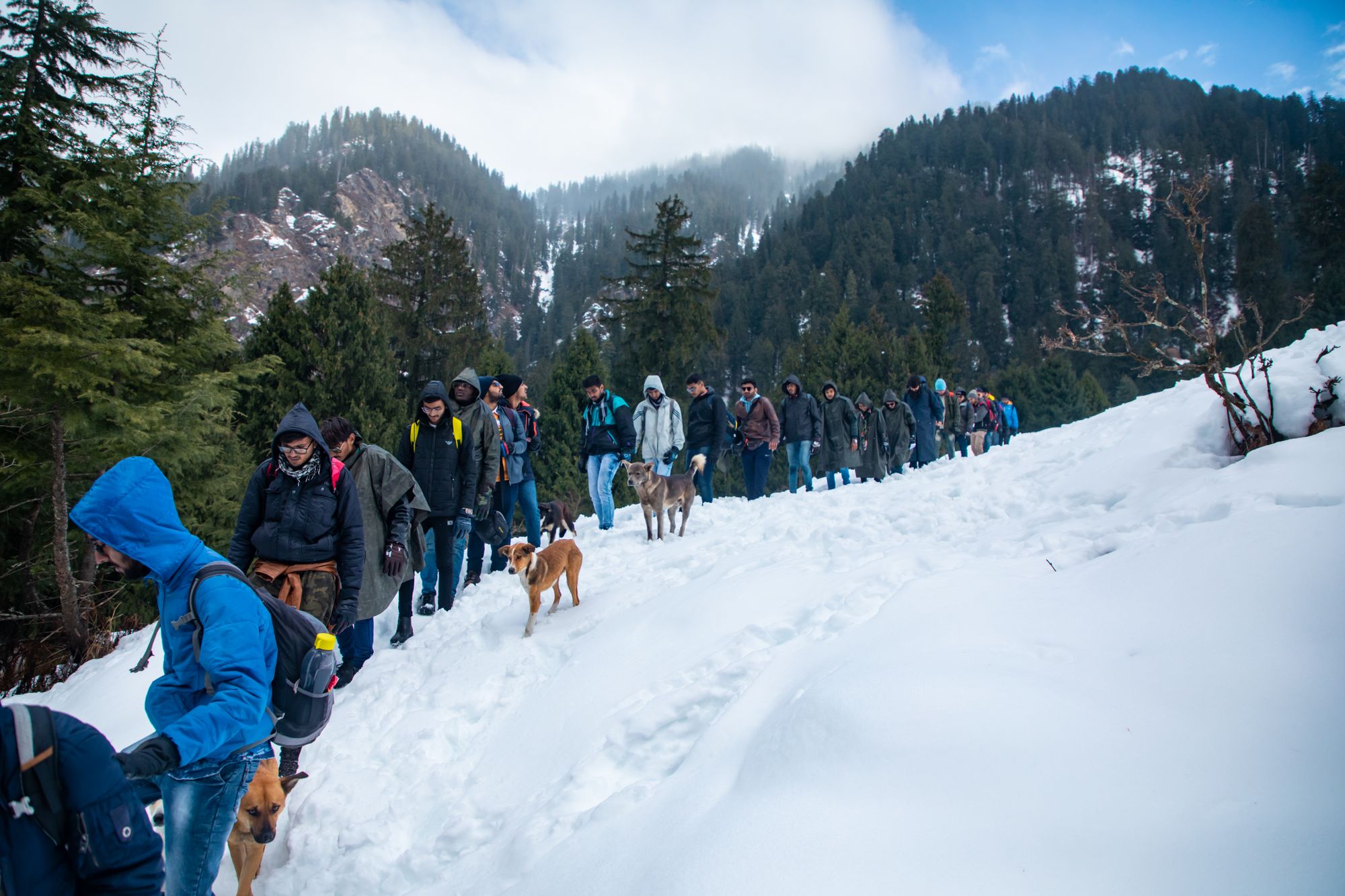 Invincible The Largest Trekking Organization In India