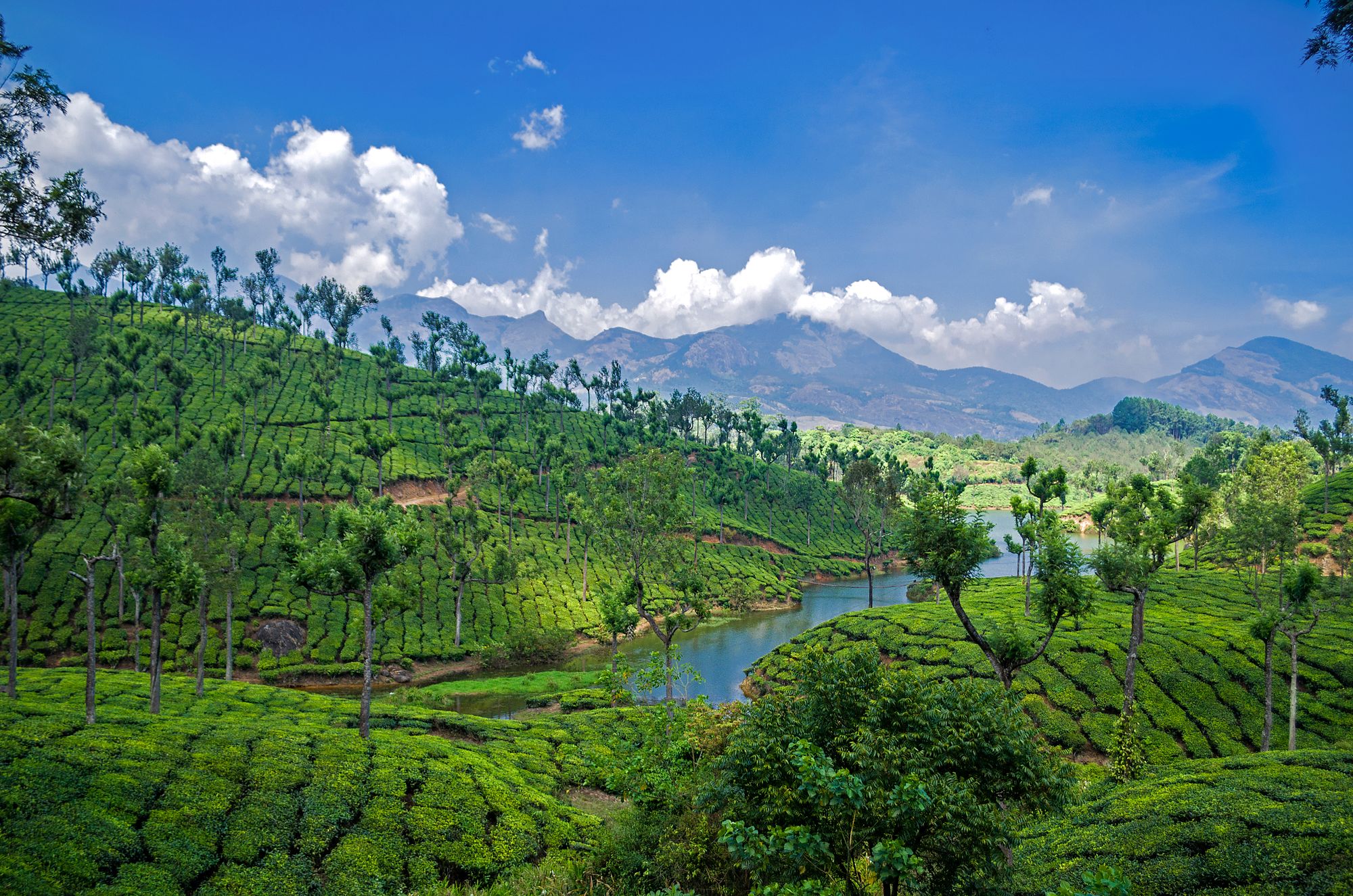 Kerala Calling with Wayanad