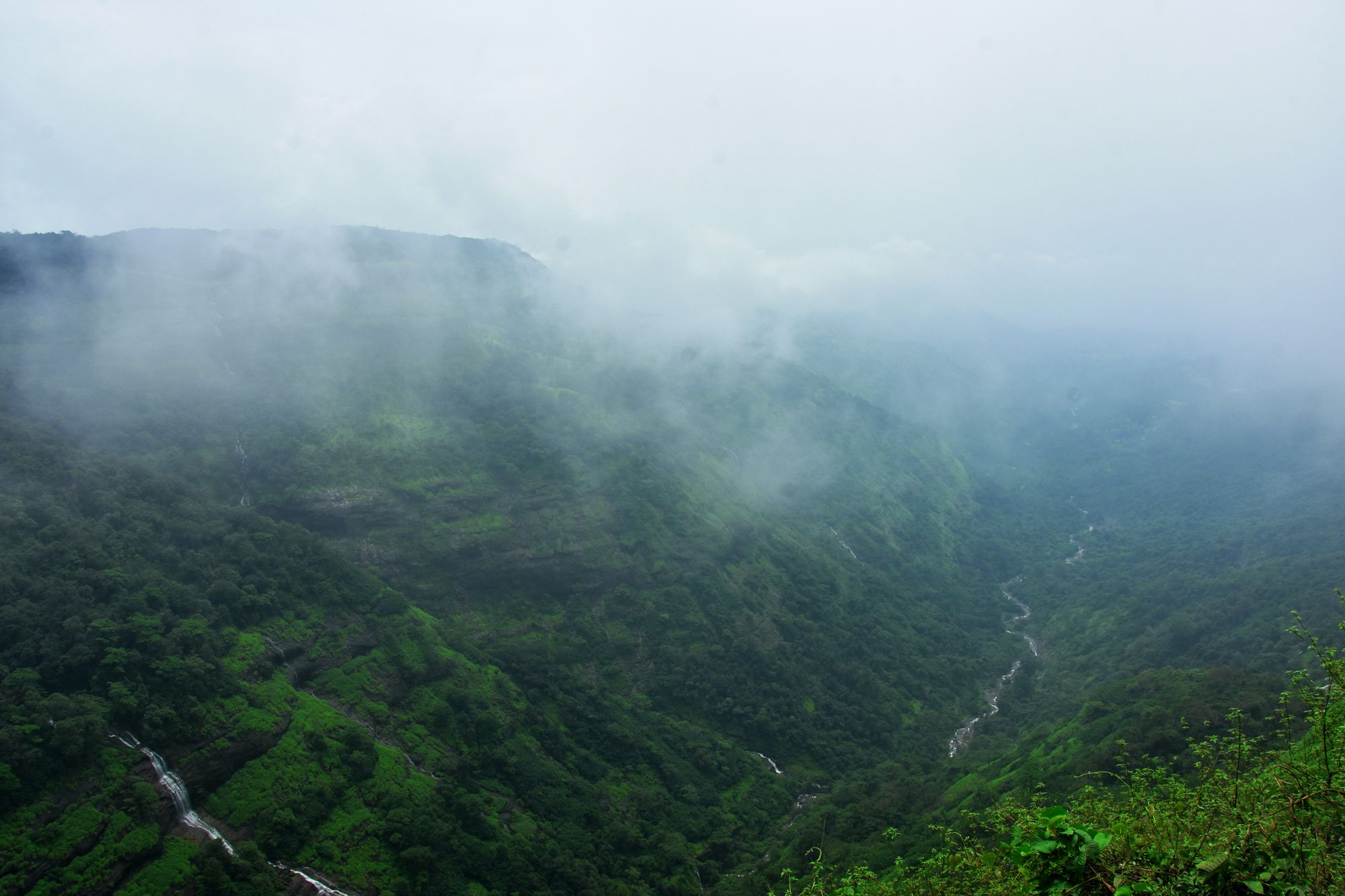 Kerala Calling with Wayanad